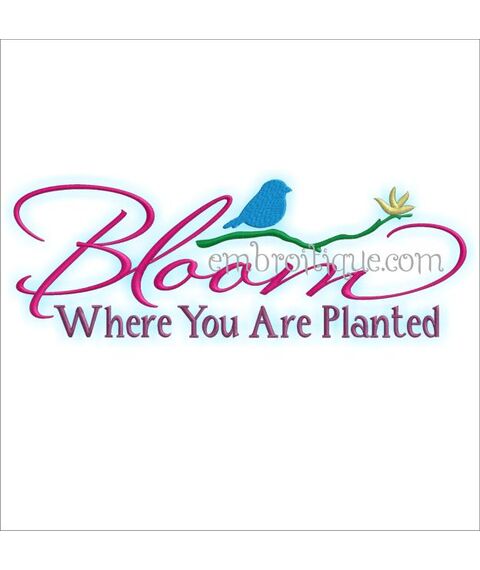 Bloom Where You Are Planted Home Decor Design