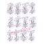 Courtly Calligraphy Stunning Ornamental Monogram Set