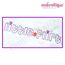 Little Flirt Super Set - Mommy, Daddy, Auntie, Grandma, Grandpa, and blank included, 6 image